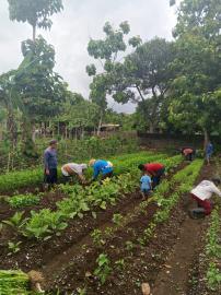 PKTD Dana Desa di Kalurahan Siraman Menjadi Sarana Pemulihan ODDP